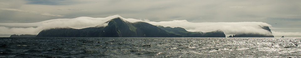 about hirta